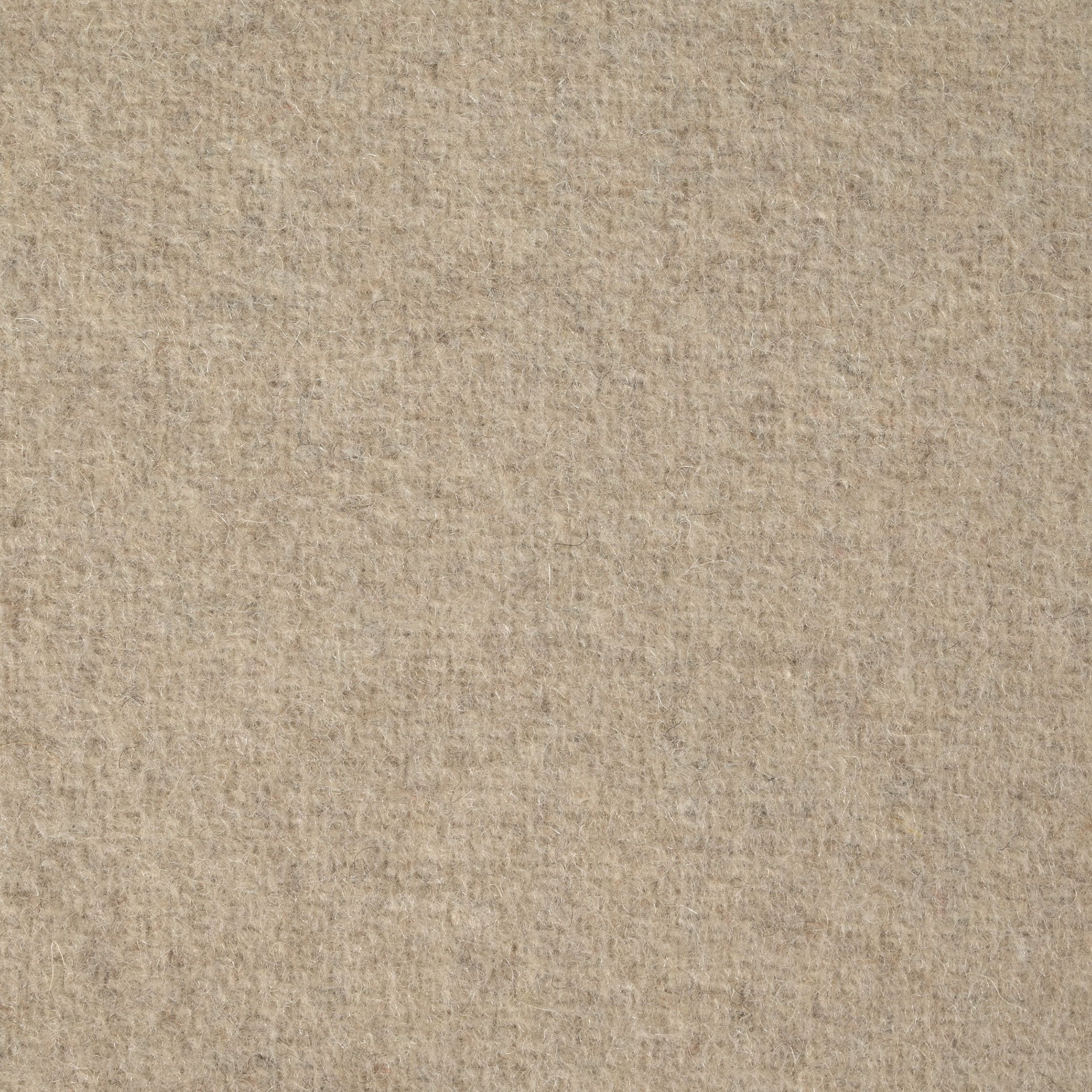 Beige Coating Fabric 75516