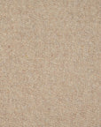 Beige Coating Fabric 9123