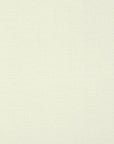 Cream Woollen Canvas Fabric 896