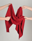 Red Double Weave Twill Fabric 7401