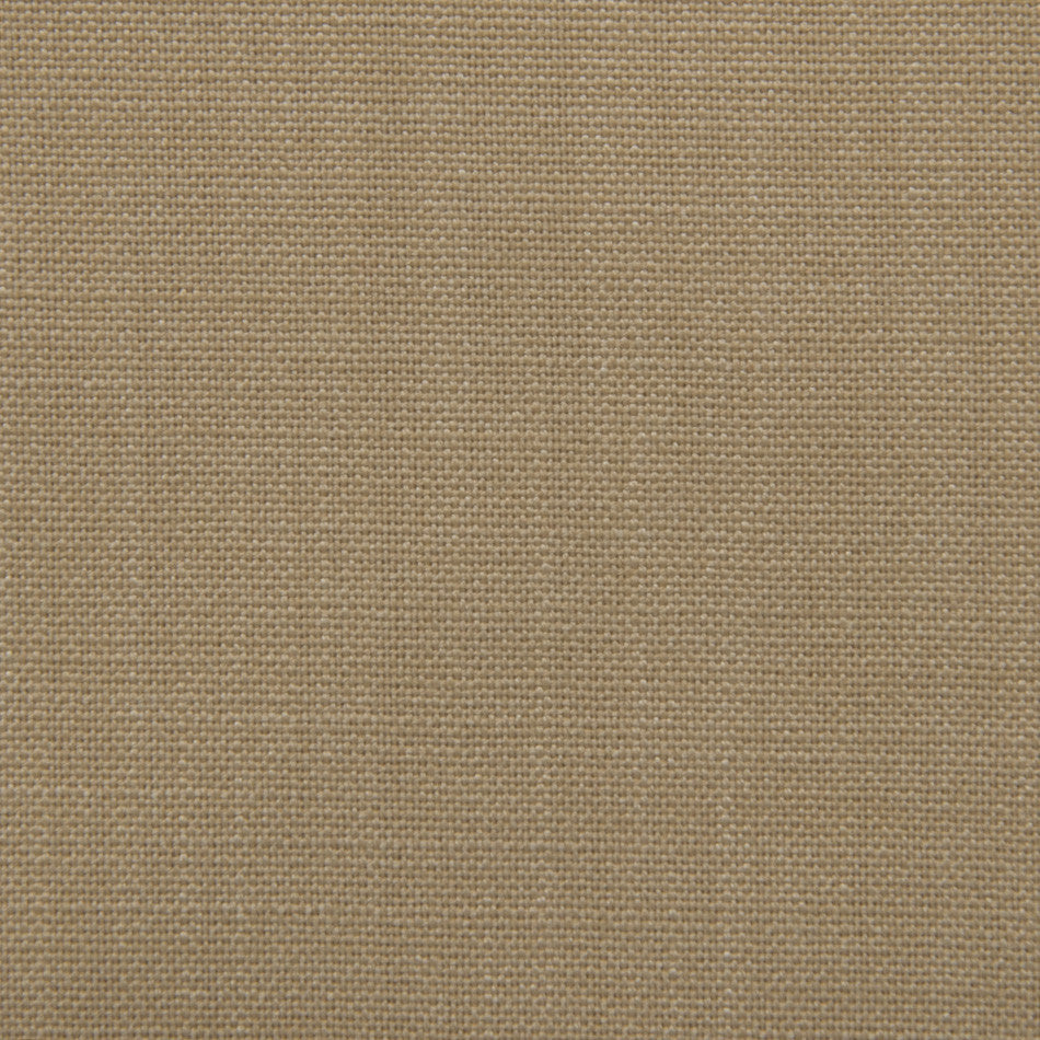 Beige Canvas Fabric 2294