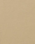 Beige Stretchy Cotton 2412 - Fabrics4Fashion