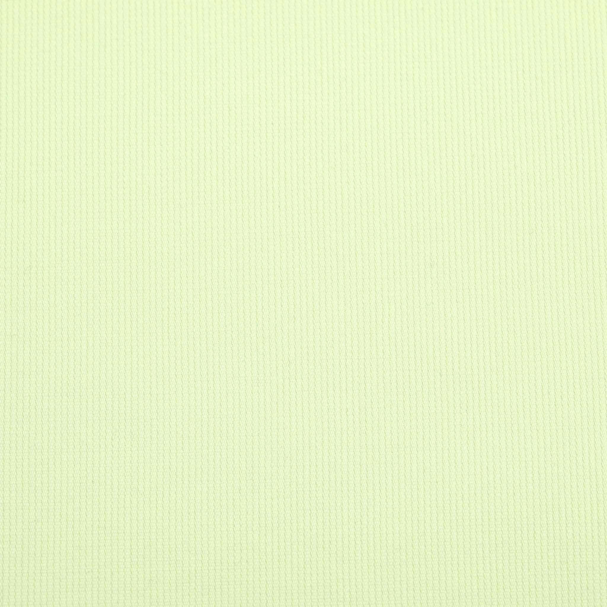 Baby Green Ribbed Fabric 98154
