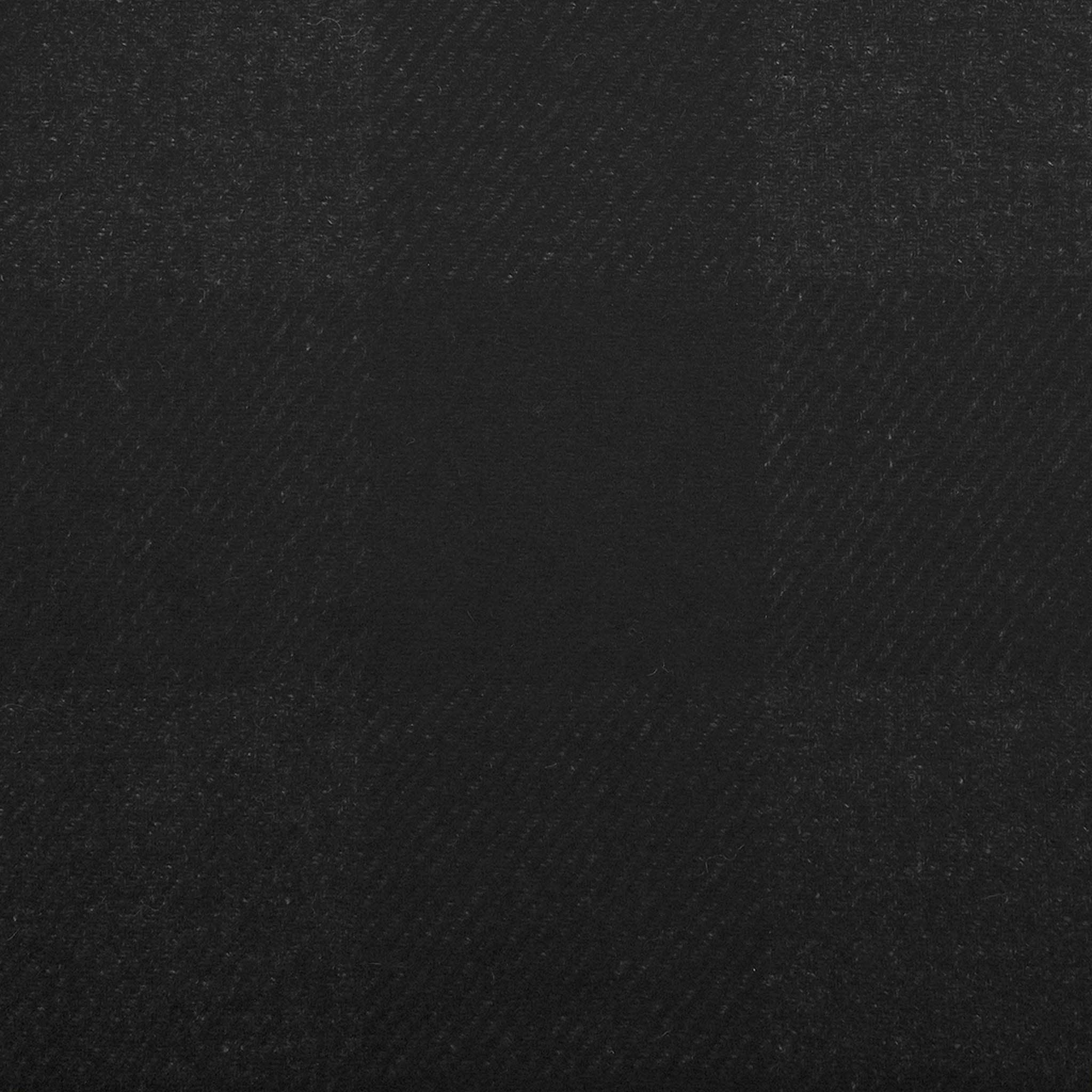 Black Fancy Coating Fabric 98724