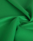 Green Twill Double Weave Fabric 4627