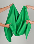 Green Twill Double Weave Fabric 4627