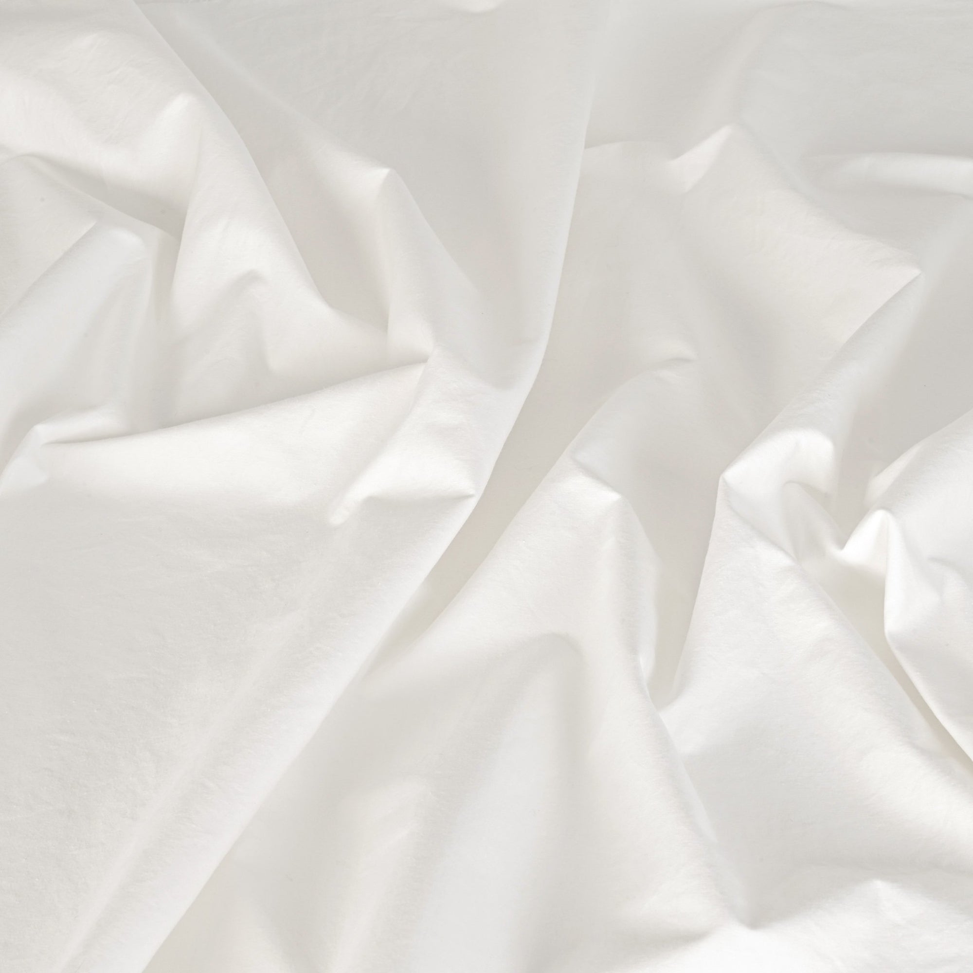 White Trench Cotton Fabric 6388