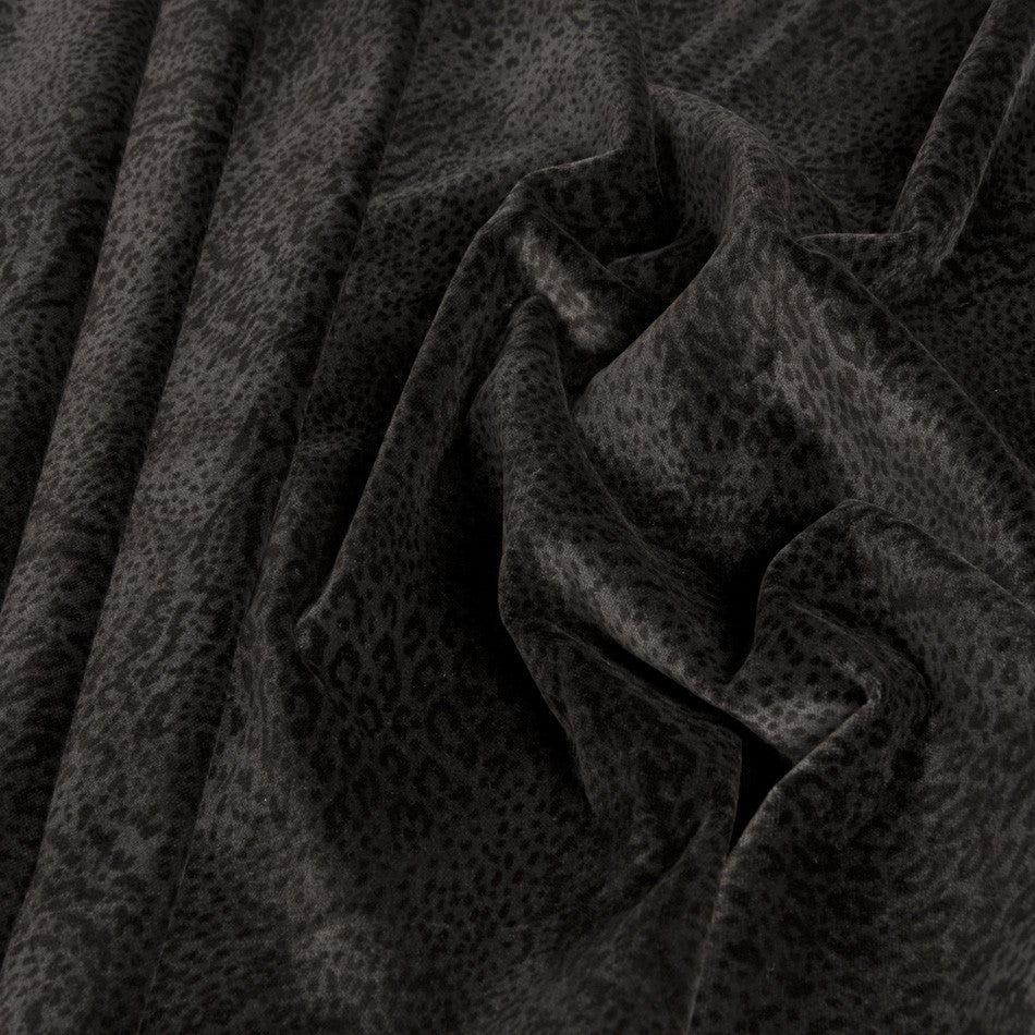 Anthra Animal Cotton Velvet 333 - Fabrics4Fashion