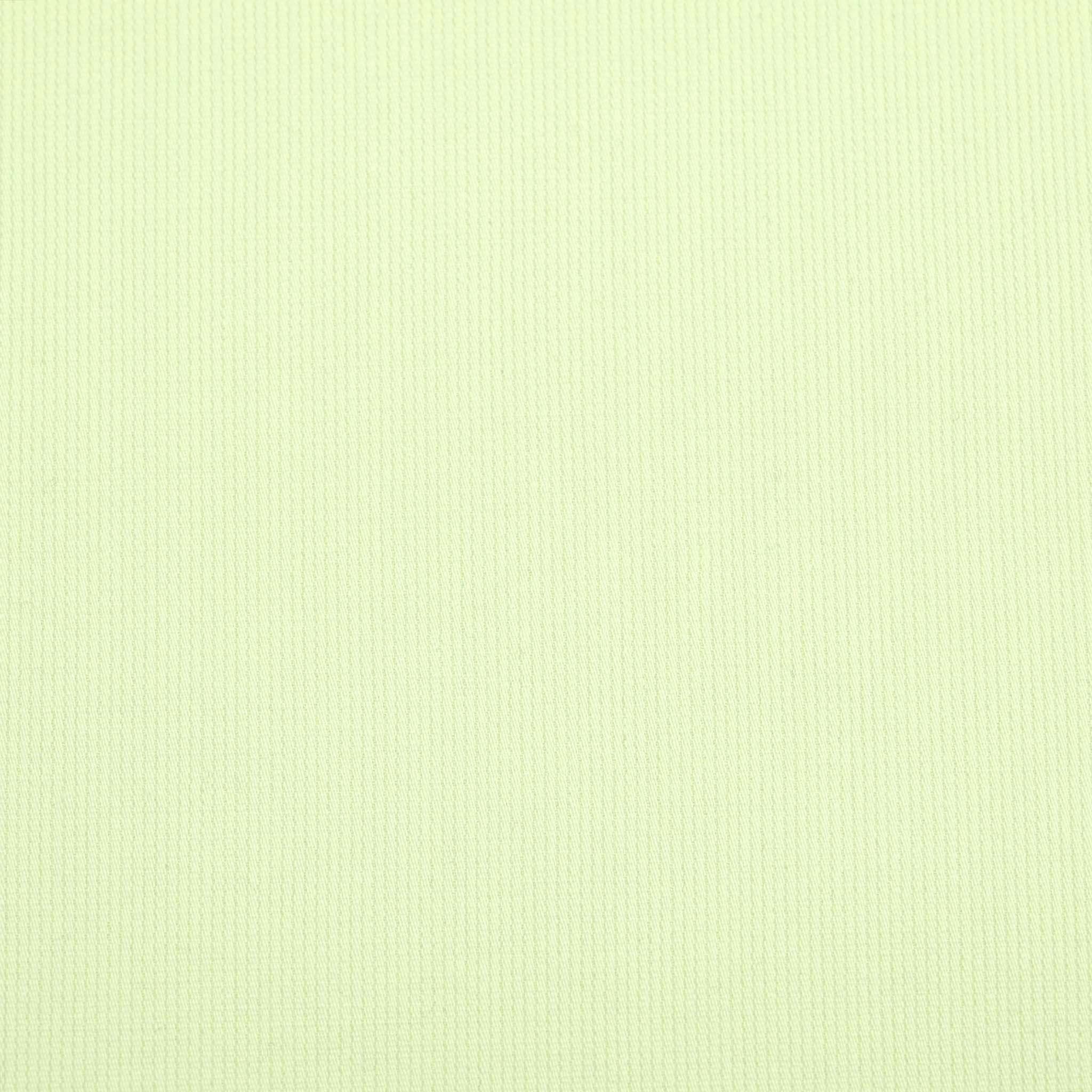 Baby Green Ribbed Fabric 98154