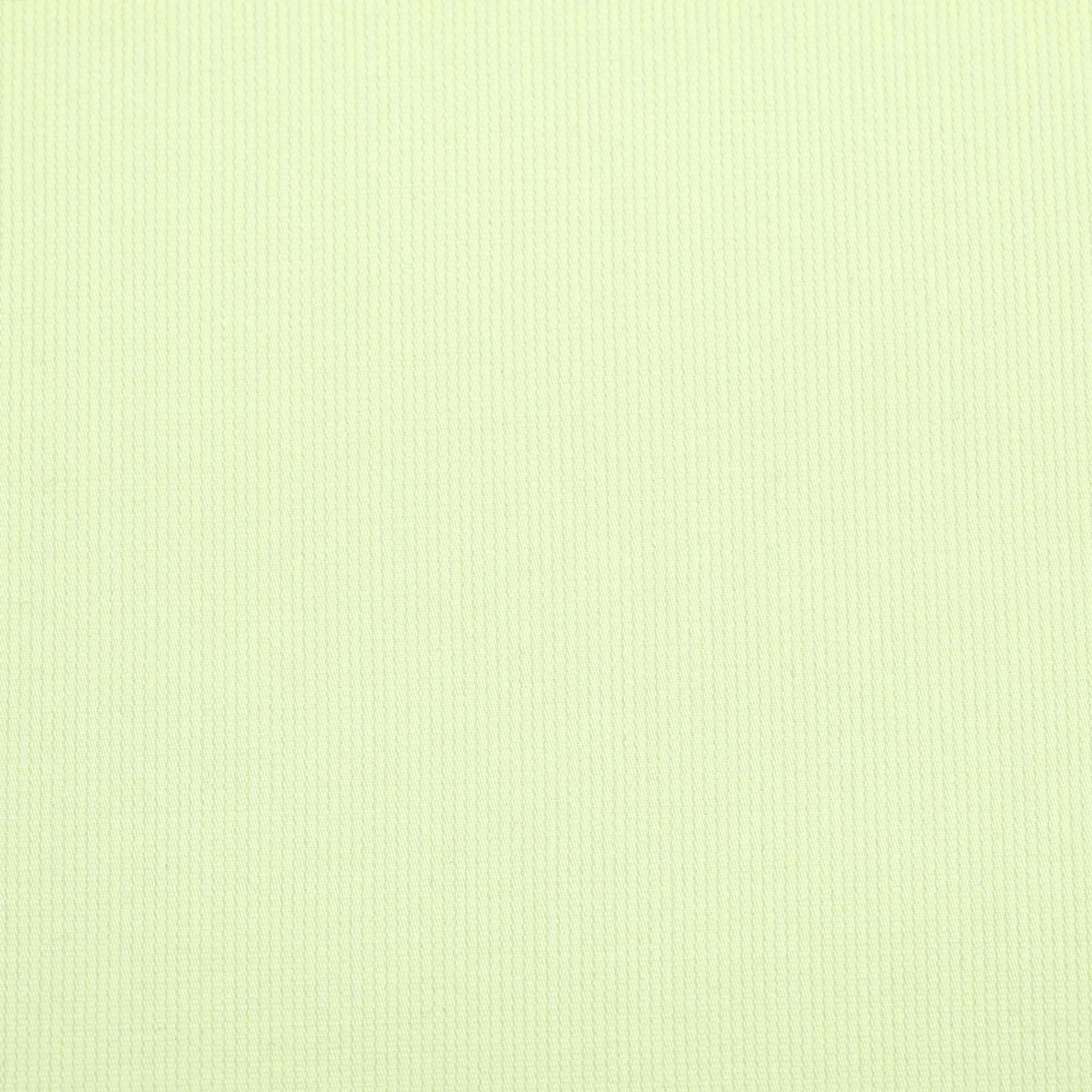 Baby Green Ribbed Fabric 98154