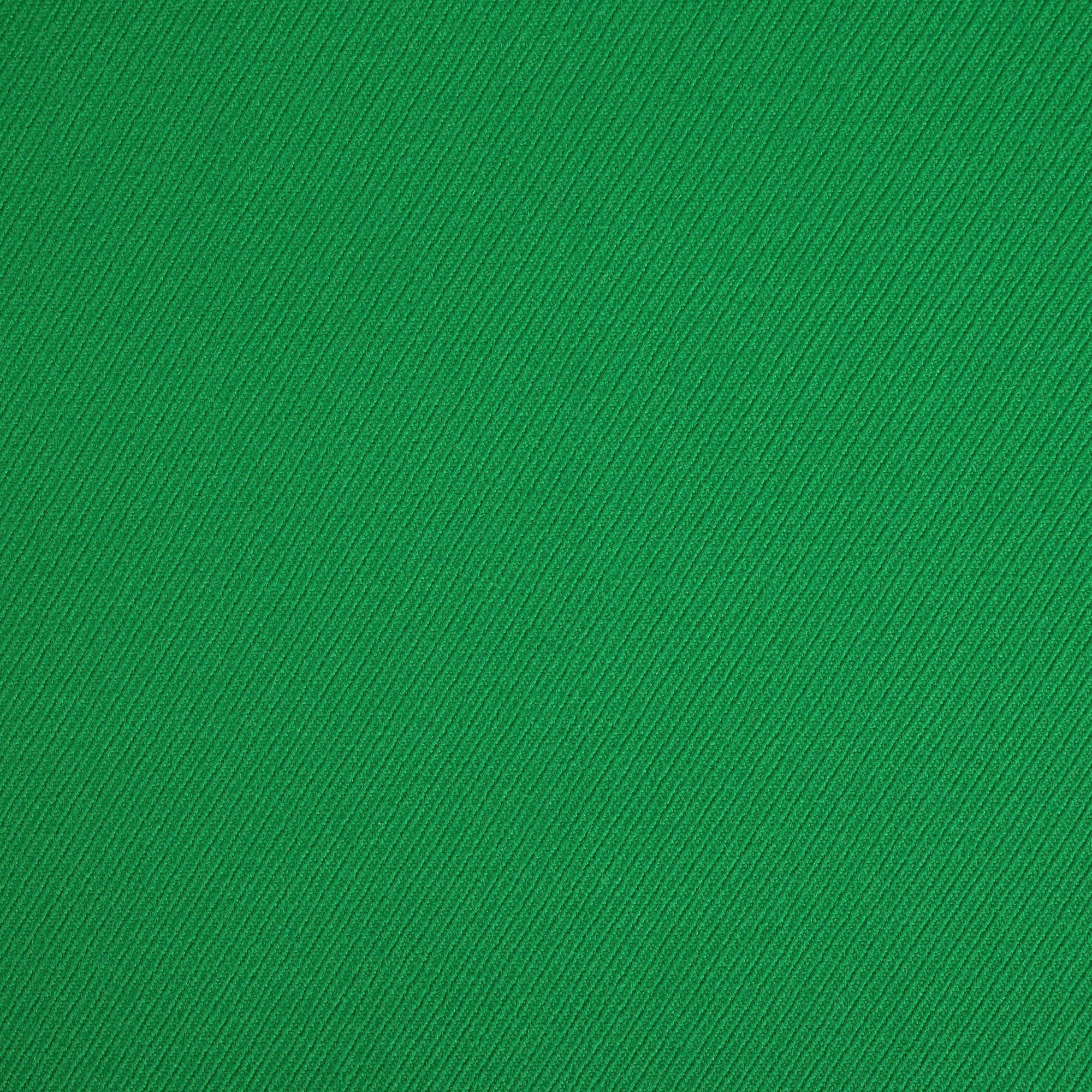Green Twill Double Weave Fabric 4627